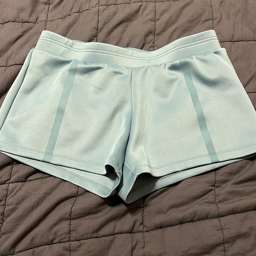 Blue Fabletics shorts